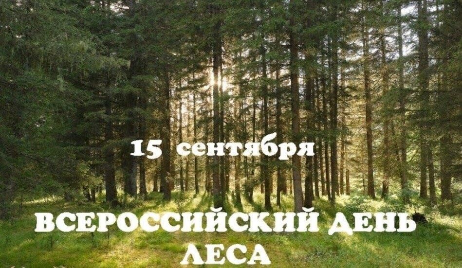 Российские дни леса..