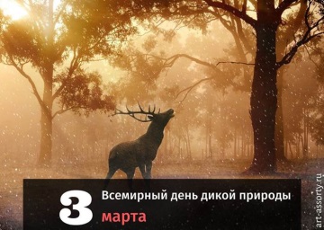 Всемирный день дикой природы отмечается ежегодно во всем мире 3 марта..